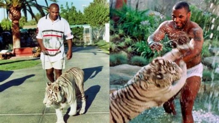 How did Mike Wolfe make his money?