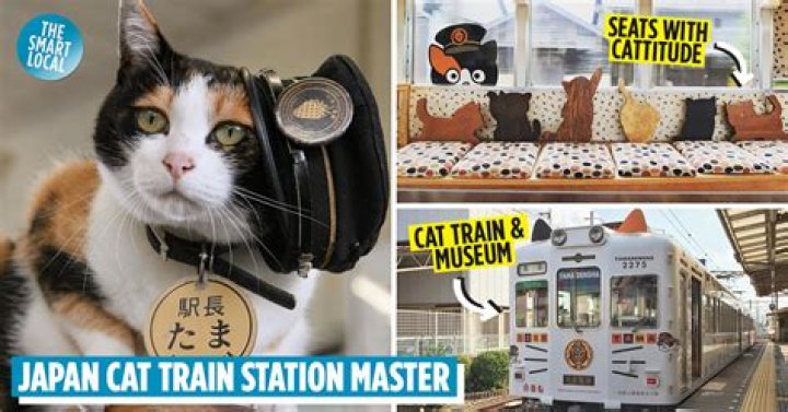 日语中的densha是什么？